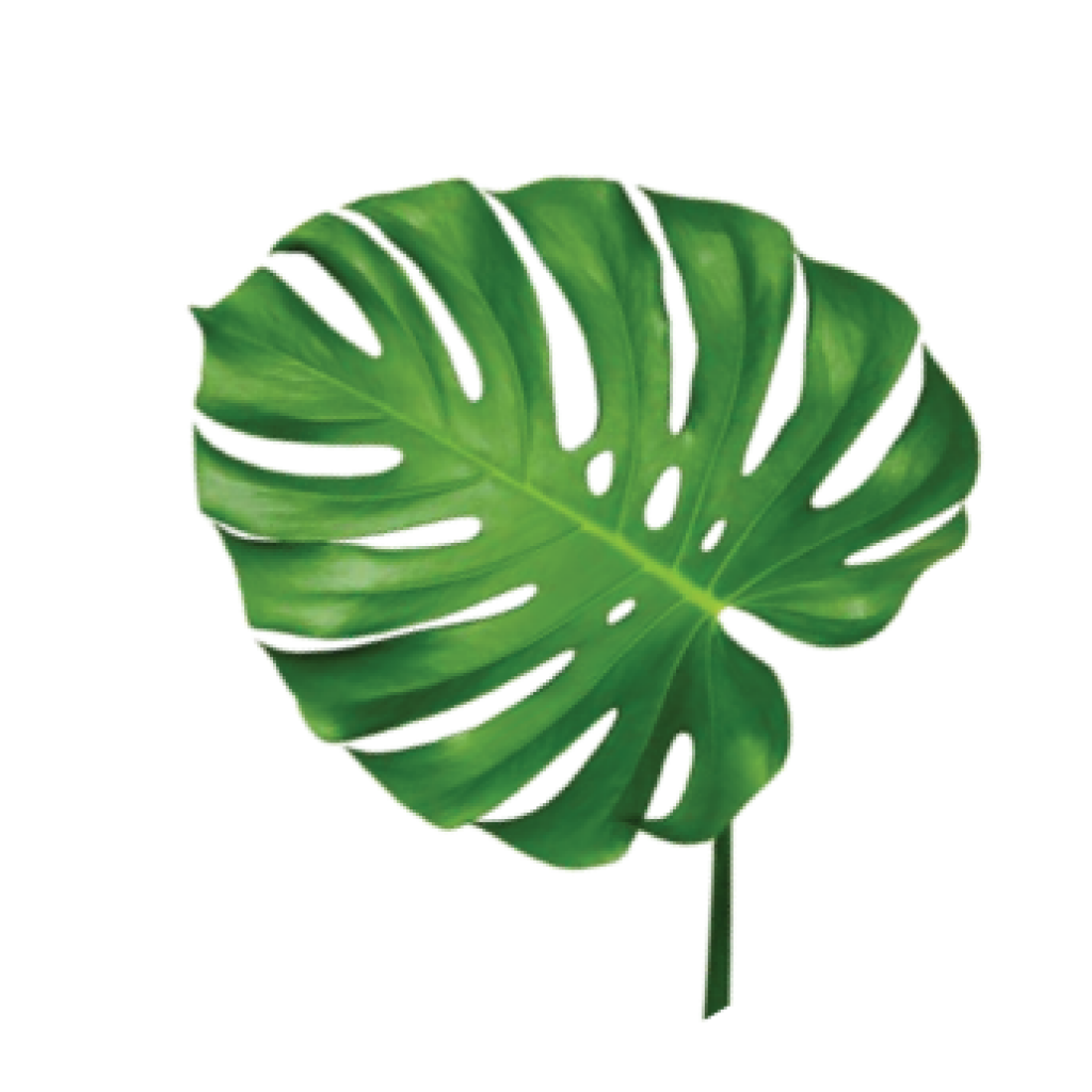 leafwpmonsterco